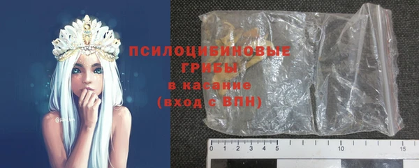 spice Богородицк