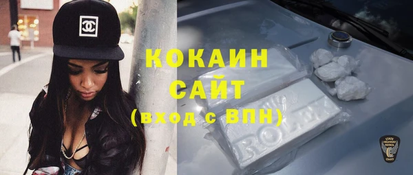 spice Богородицк
