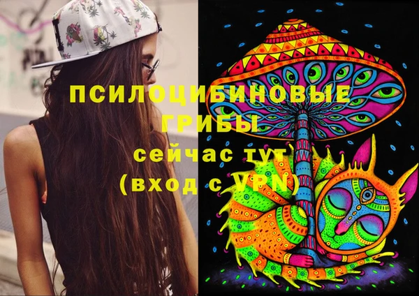 spice Богородицк