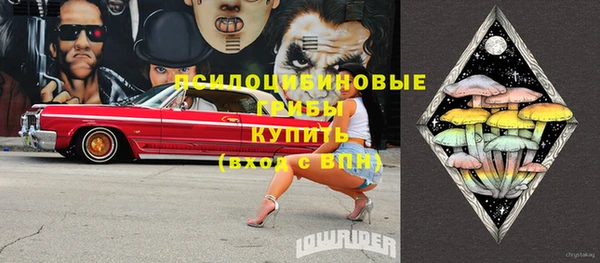 гидра Бугульма