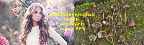 mdma Богданович
