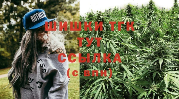стаф Белоозёрский