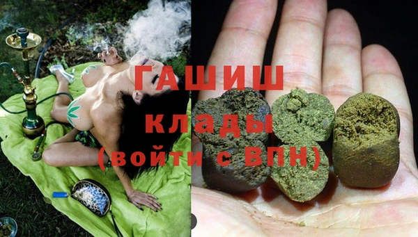 spice Богородицк
