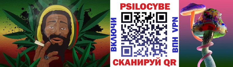 Псилоцибиновые грибы GOLDEN TEACHER  мега ссылки  Катав-Ивановск 